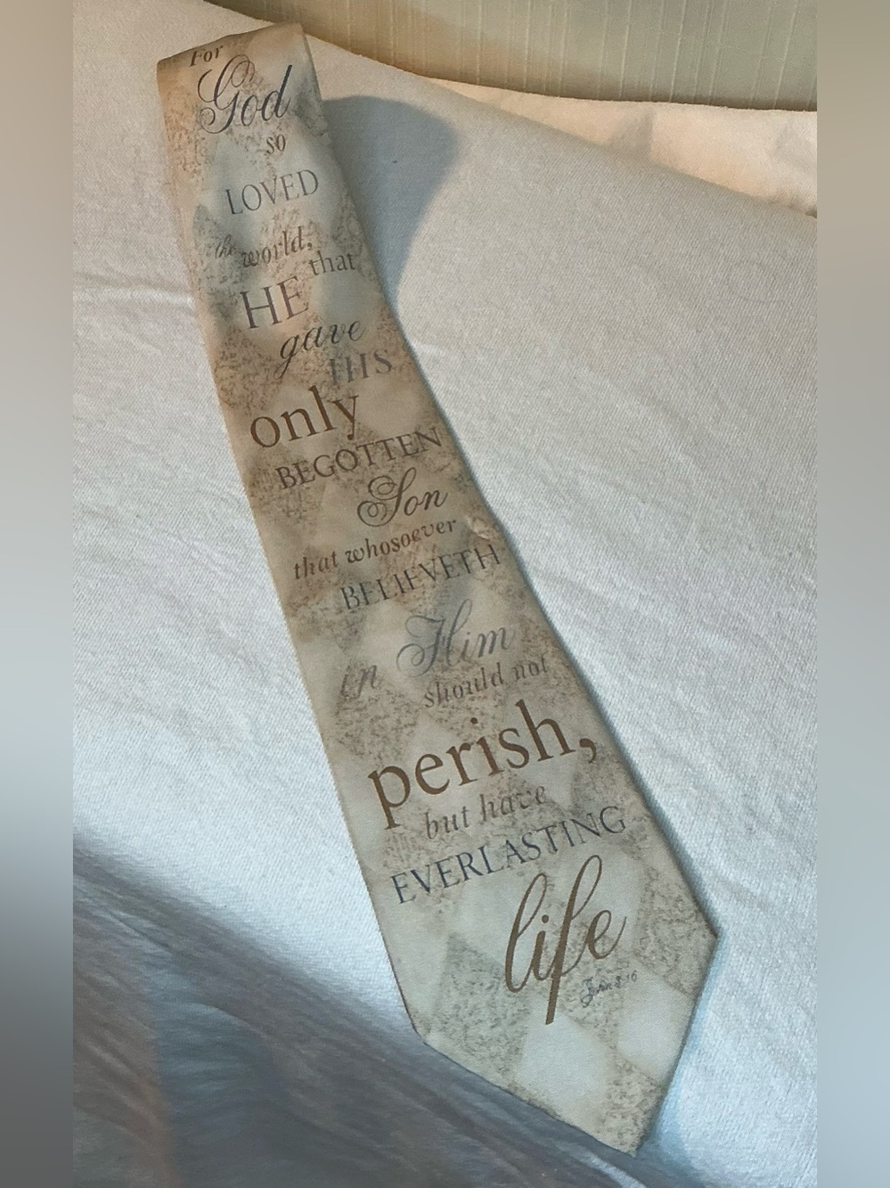 Eagles Wings Mens Beige Silk Necktie Bible Verse
